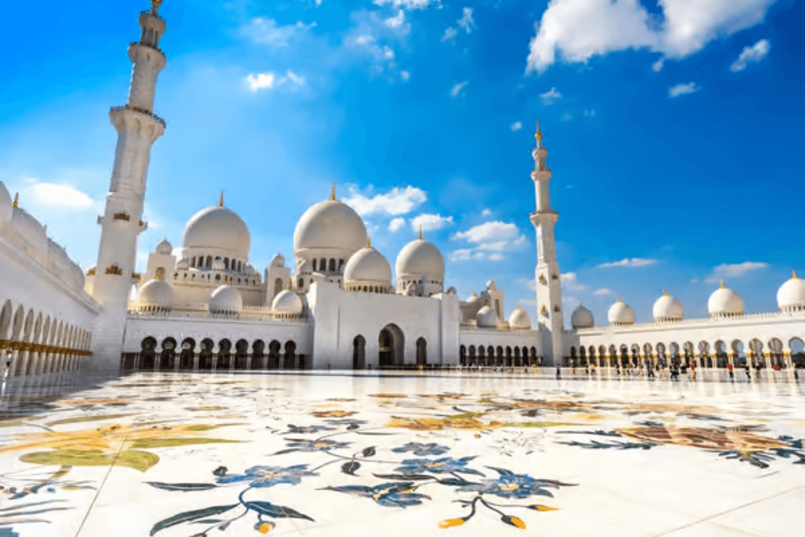 Full Day Guided Abu Dhabi City Tour