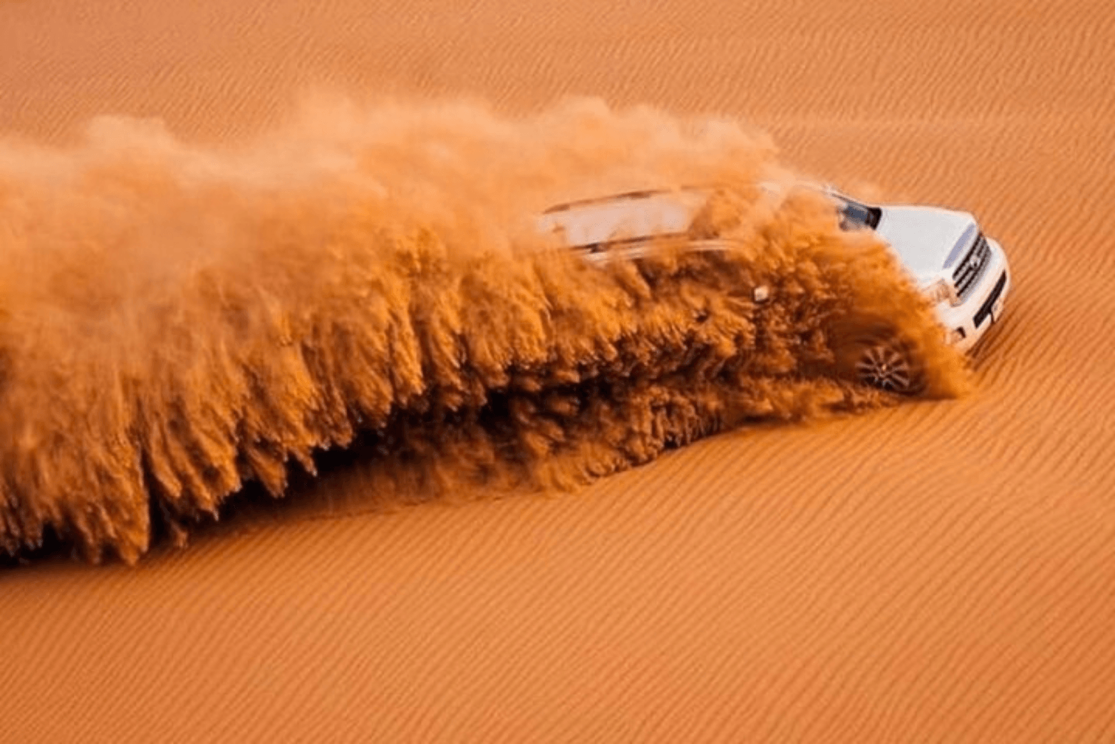 Desert Safari