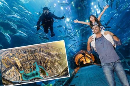 Full Day City Tour with Burj Khalifa & Underwater Zoo Ticket