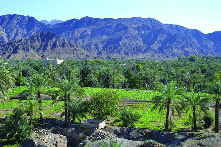 Fujairah City Tour