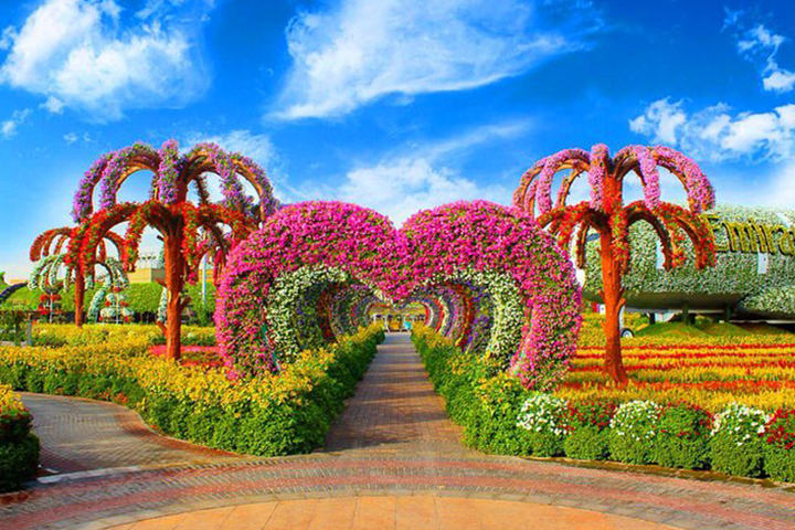 Miracle Garden and Global Village Tour – Ticket with Transfer
