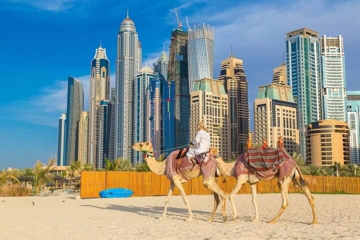 Full Day Dubai City Tour with Burj Khalifa & Underwater Zoo Ticket