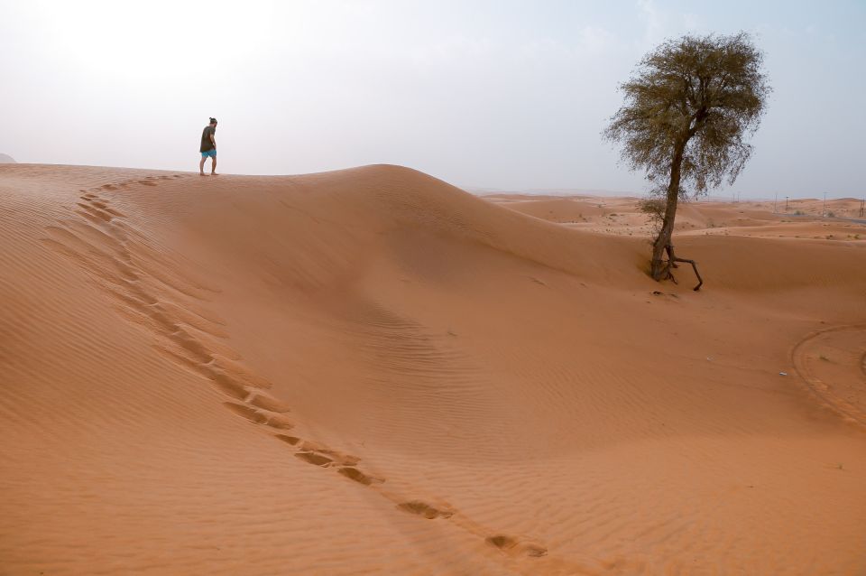 Desert Safari Dubai from Abu Dhabi