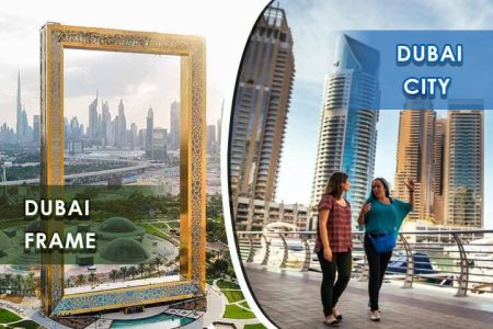 Dubai City Tour with Dubai Frame Ticket