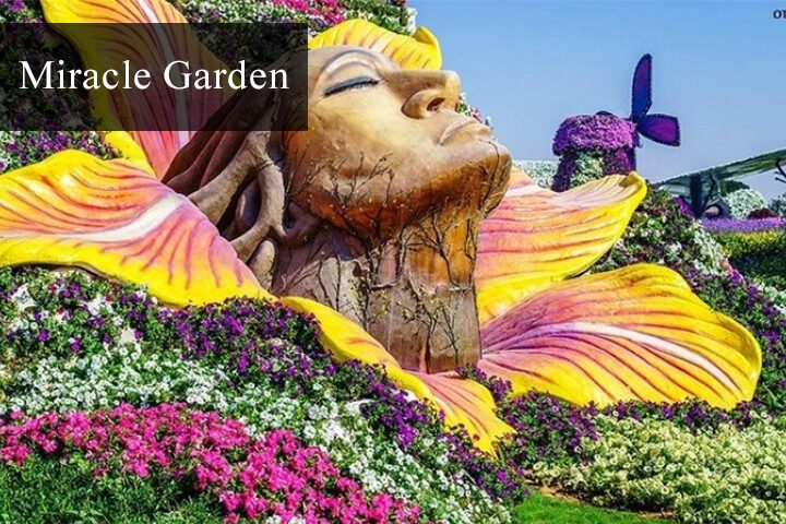 Miracle Garden Dubai