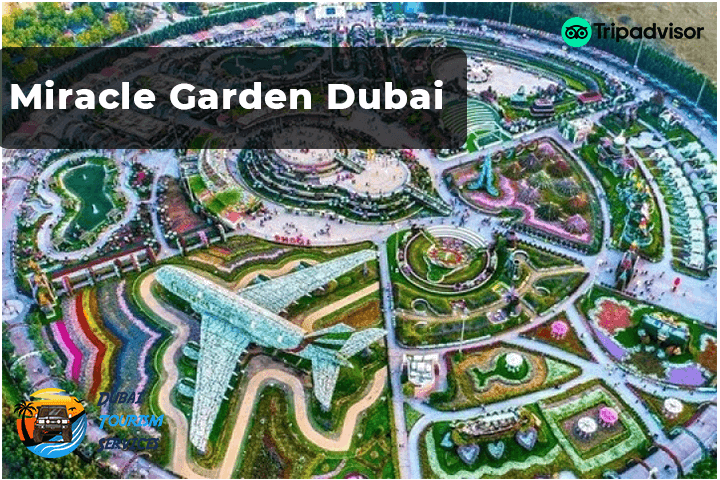 Miracle Garden Dubai