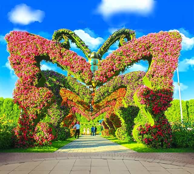 Dubai Miracle Garden Tour