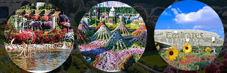 Dubai Miracle Garden