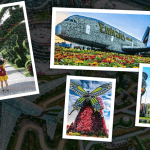 Dubai Miracle Garden Tour Package