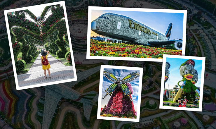 Dubai Miracle Garden Tour Package