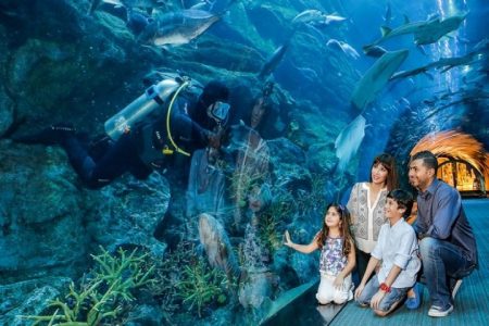 Dubai Aquarium and Underwater Zoo Day Ticket