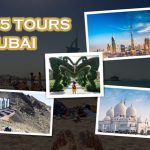 Top 5 Best Tours In Dubai