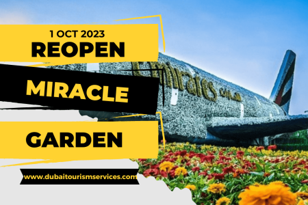 Dubai Miracle Garden Reopens on October 1st, 2023: A Floral Wonderland Awaits